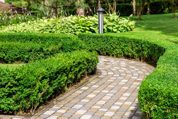 Paved Landscaping in Janesville