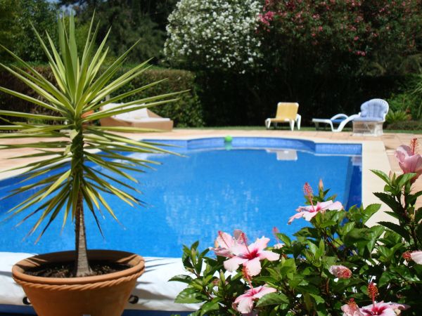 Cost of Pool Terrace Renovation in Janesville
